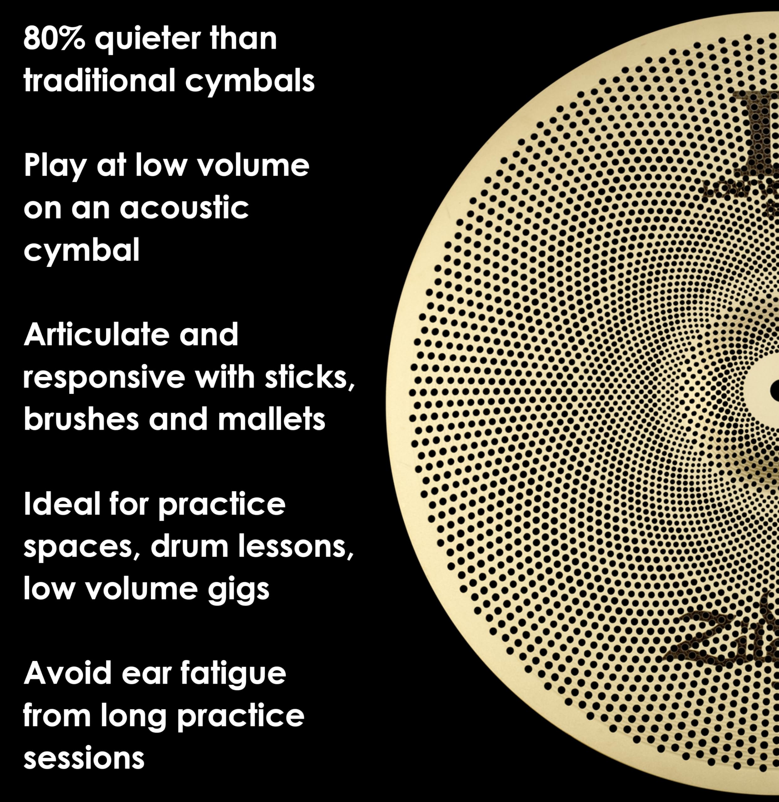 Amazon.co.jp: ジルジャン L80 ローボリューム 18